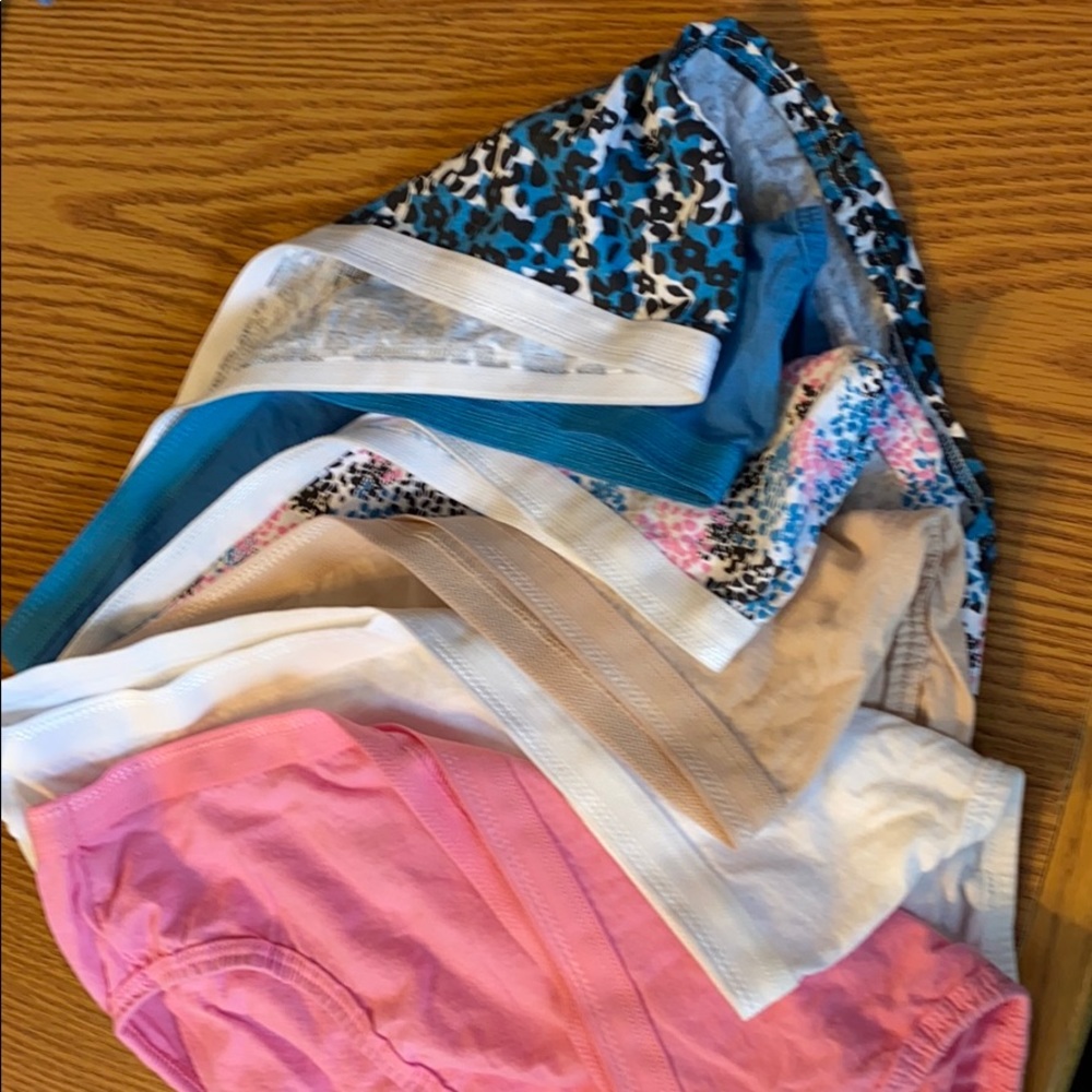 NWOT FRUIT OF THE LOOM PANTIES